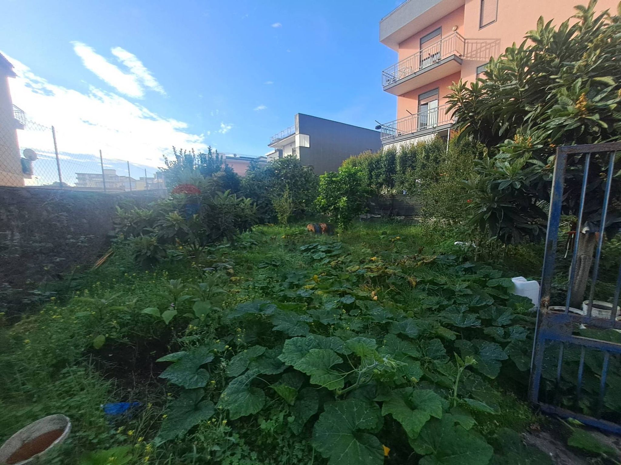 Giardino