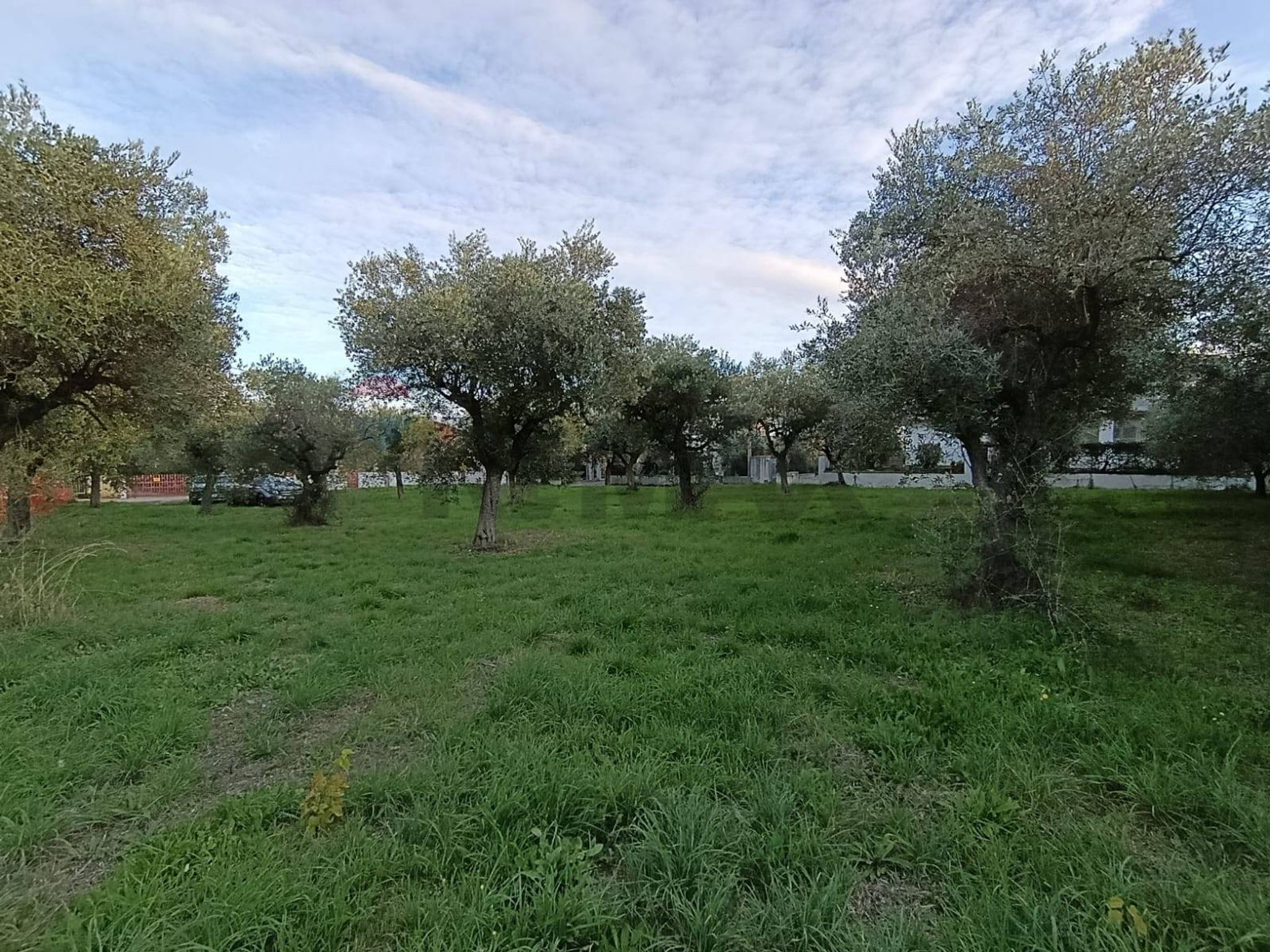 Property in Lanciano
