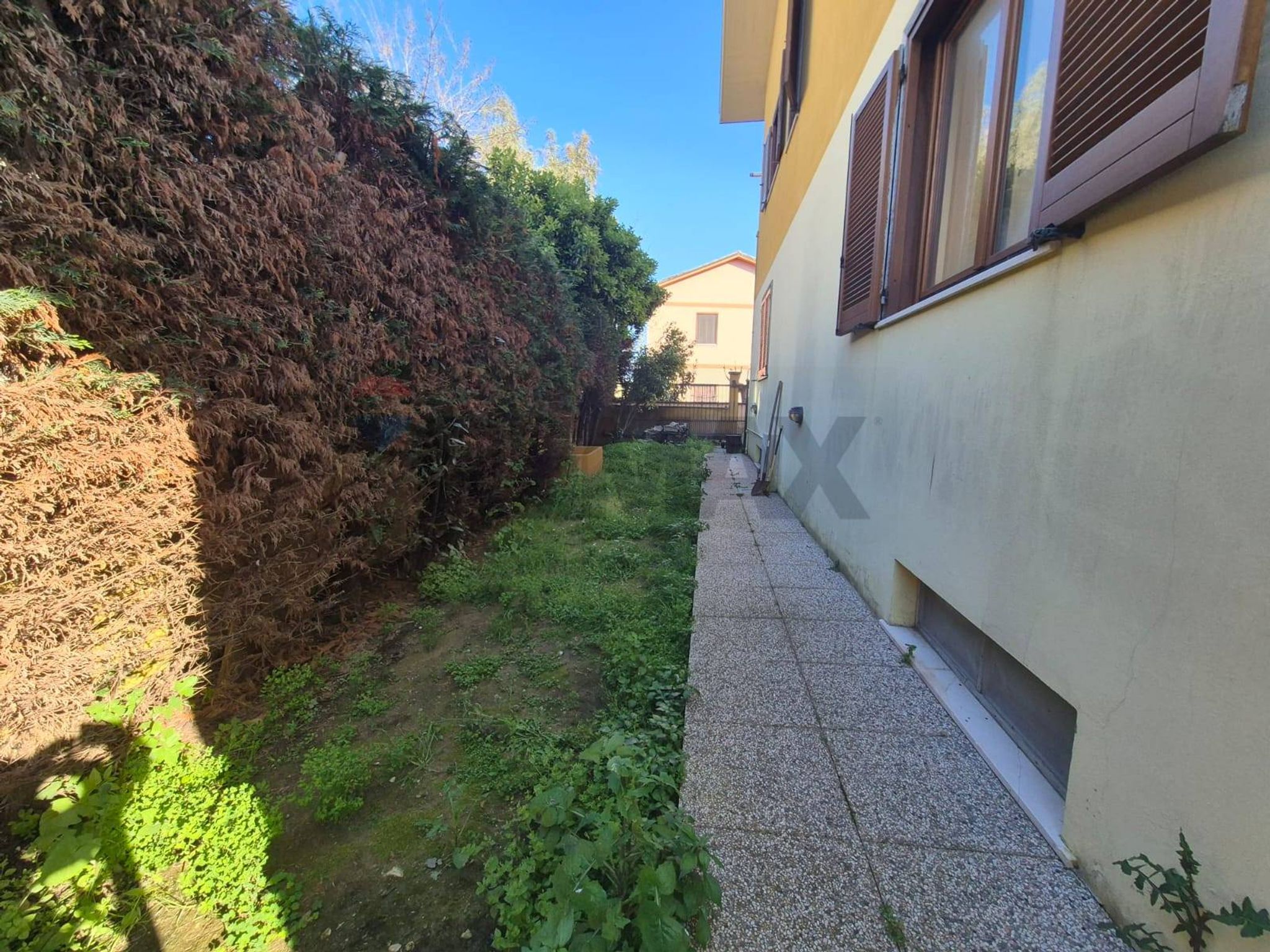 Giardino