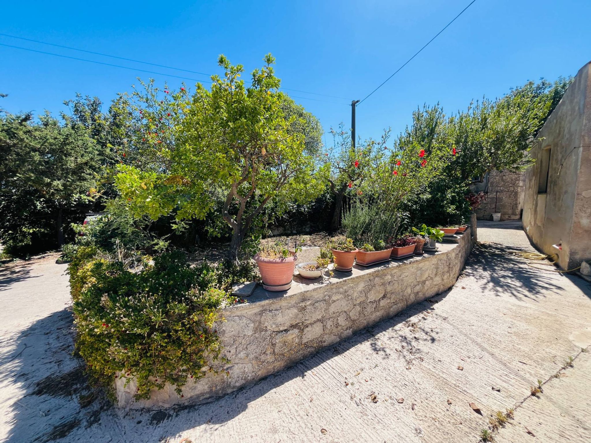 Giardino