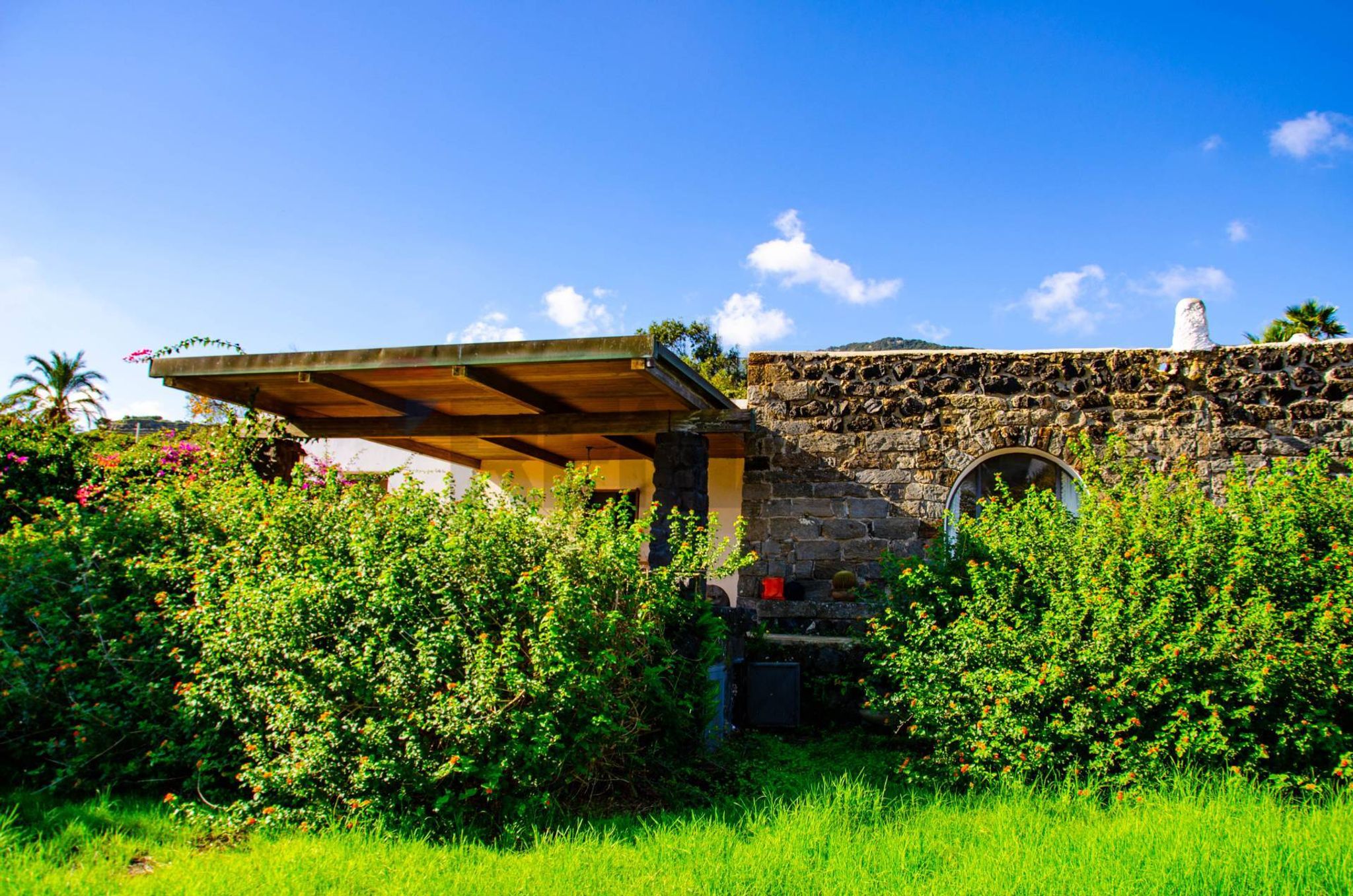 Giardino